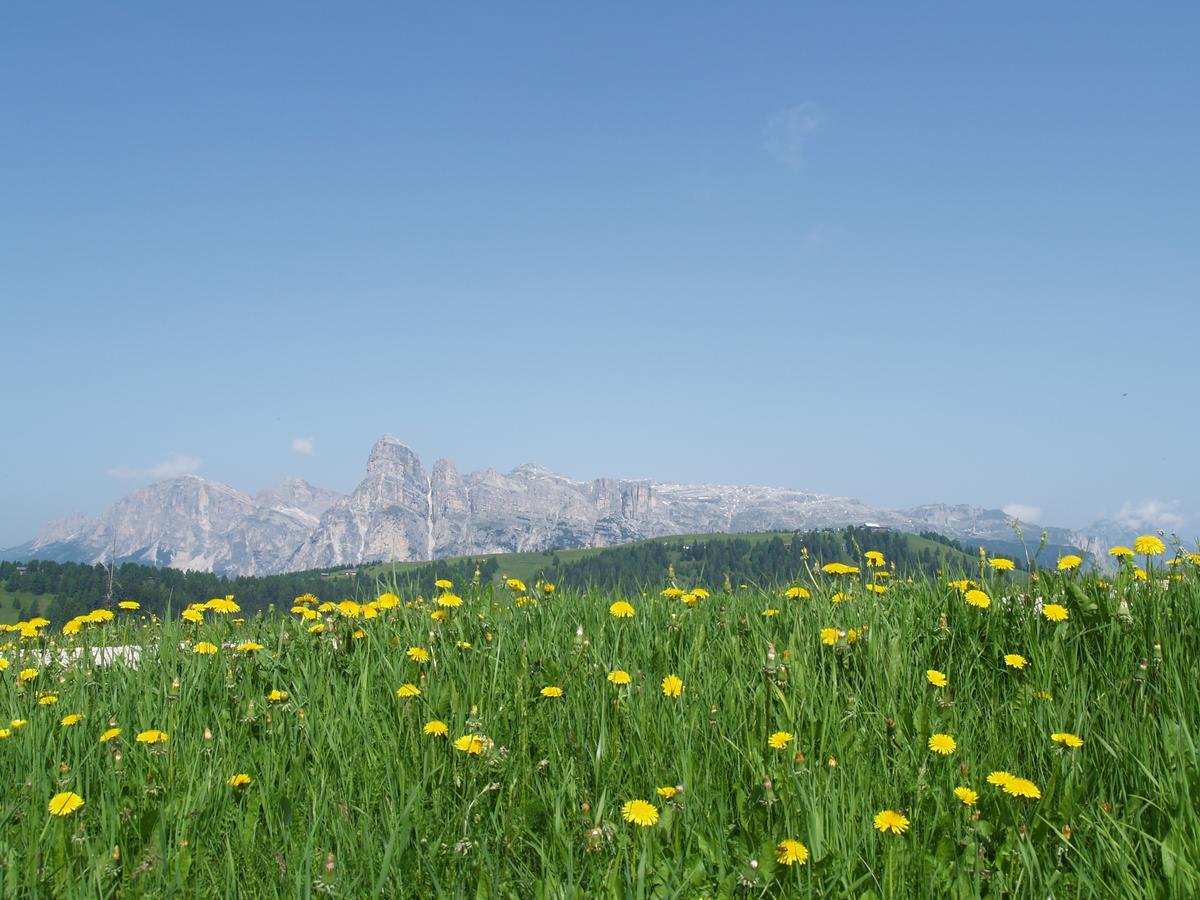 Residence Vajolet San Cassiano エクステリア 写真